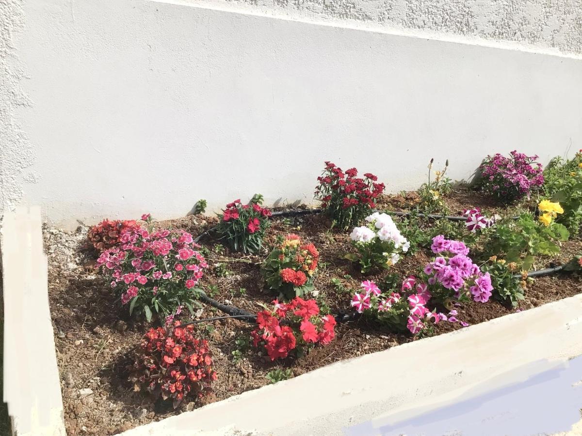 Arokaria Holiday Houses Platanes  Dış mekan fotoğraf
