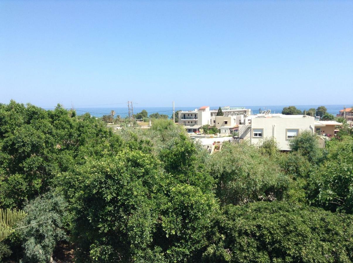 Arokaria Holiday Houses Platanes  Dış mekan fotoğraf